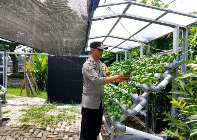 Bhabinkamtibmas Laksanakan Pembinaan Program Ketahanan Pangan di Pekarangan Hidroponik Petekkan