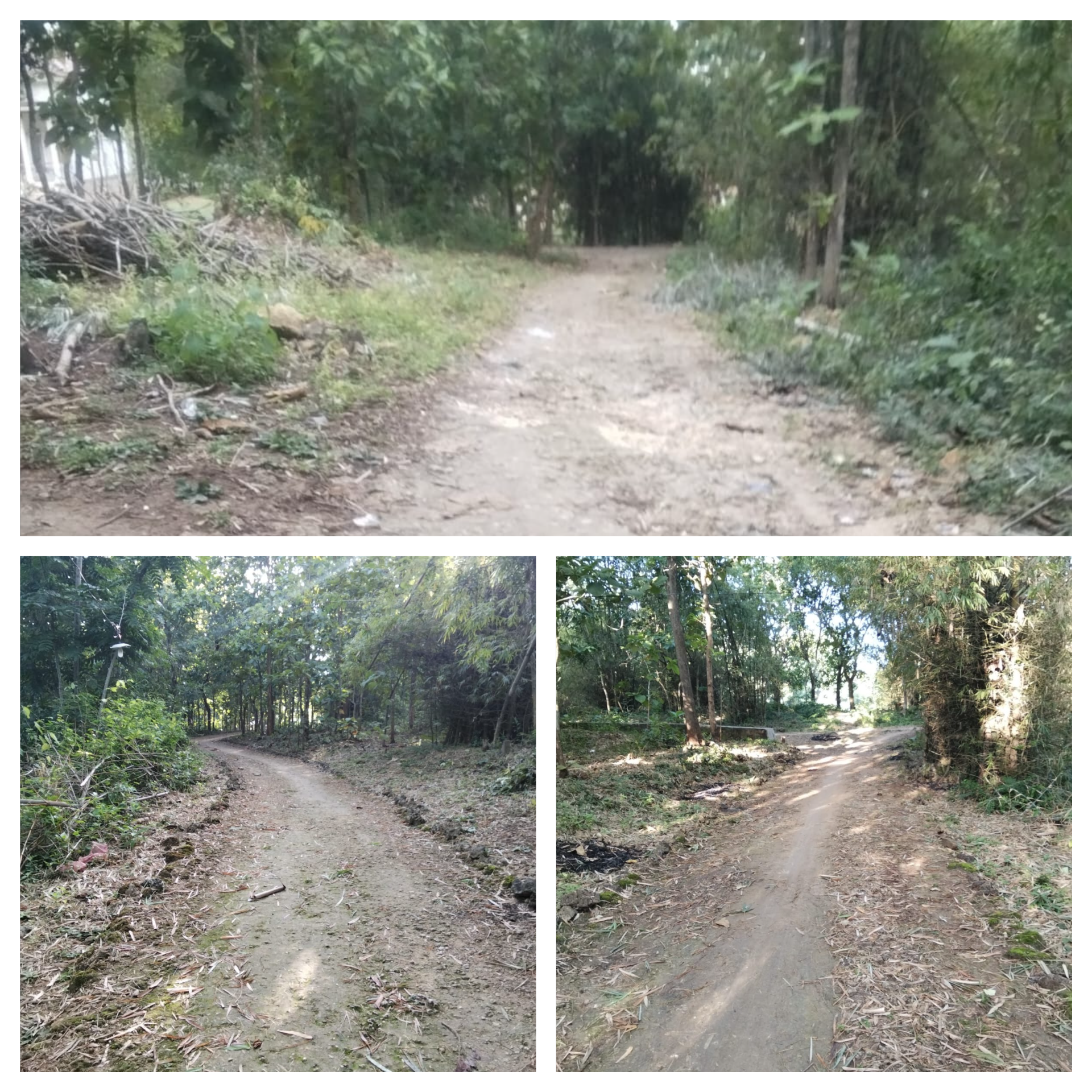 Jalan Rusak Parah di Desa Tambak, Warga Geram: Dana Desa Miliaran Rupiah Dipertanyakan