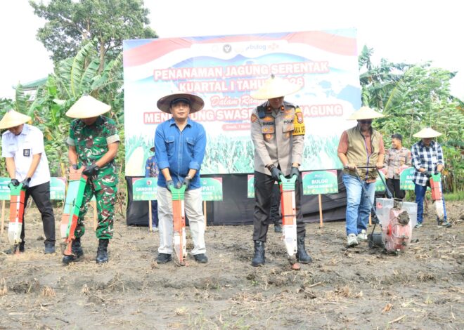 Polres Gresik Bersama Forkopimda Tanam Jagung 1,2 Hektare di Kebomas, Dukung Swasembada Pangan Nasional