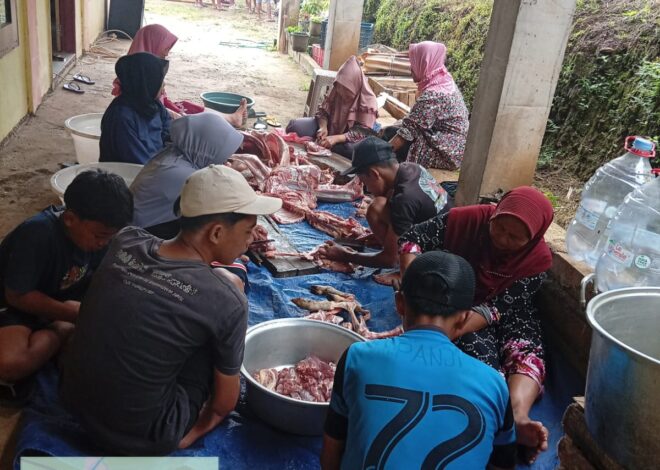 Meneladani Nabi Ibrahim, Nabi Isma’il Ponpes Lansia Cempokolimo Menyembelih 2 Sapi Dan 9 Kambing