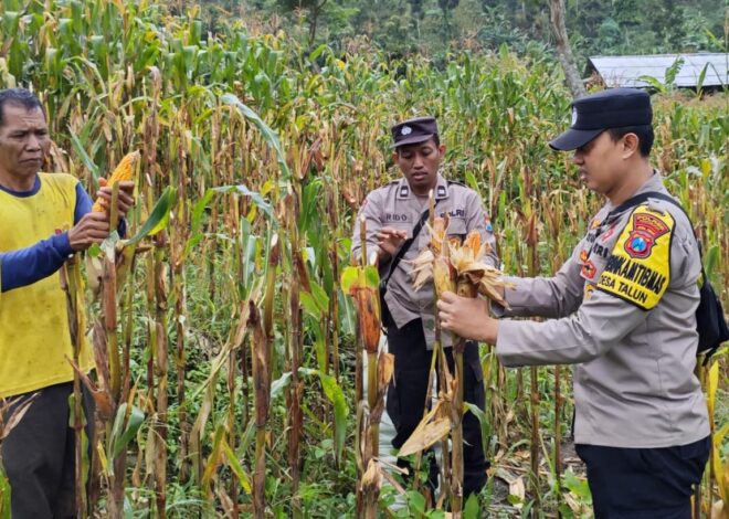 Polres Ponorogo Sahabat Petani, Dampingi Warga Wujudkan Swasembada Pangan