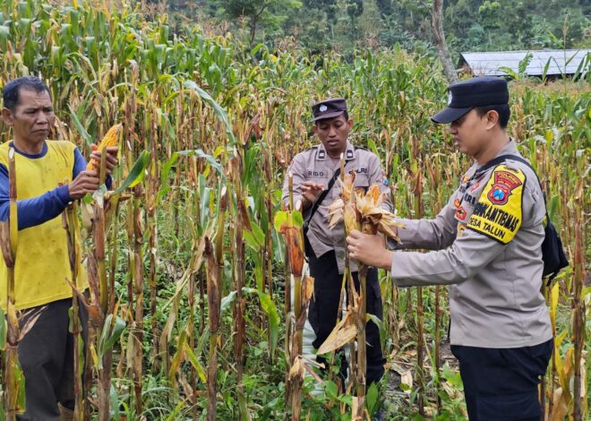 Polres Ponorogo Sahabat Petani, Dampingi Warga Wujudkan Swasembada Pangan